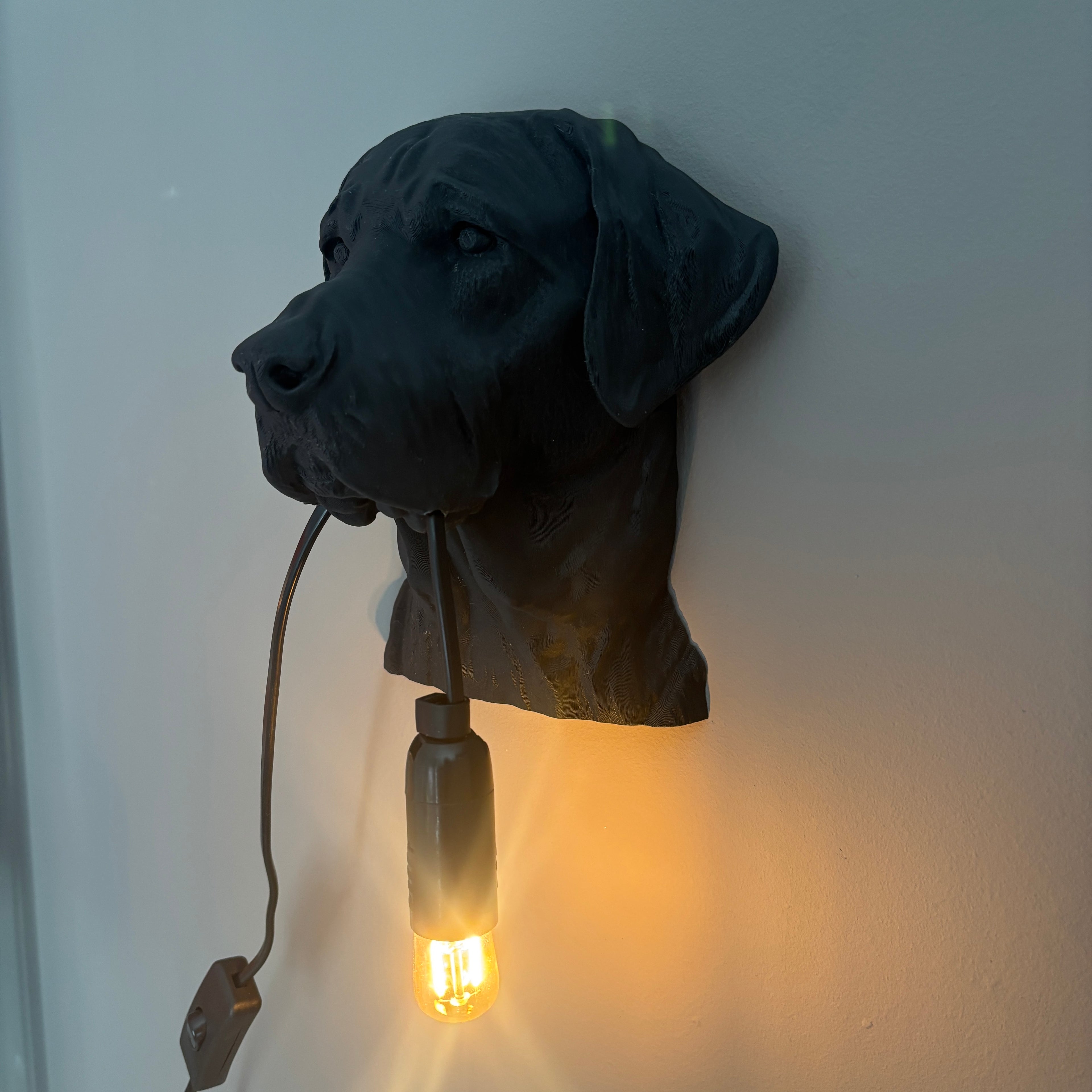 Labrador Wall Lamp