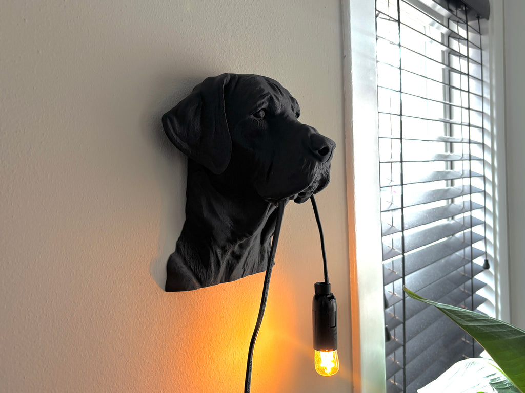 Labrador Wall Lamp