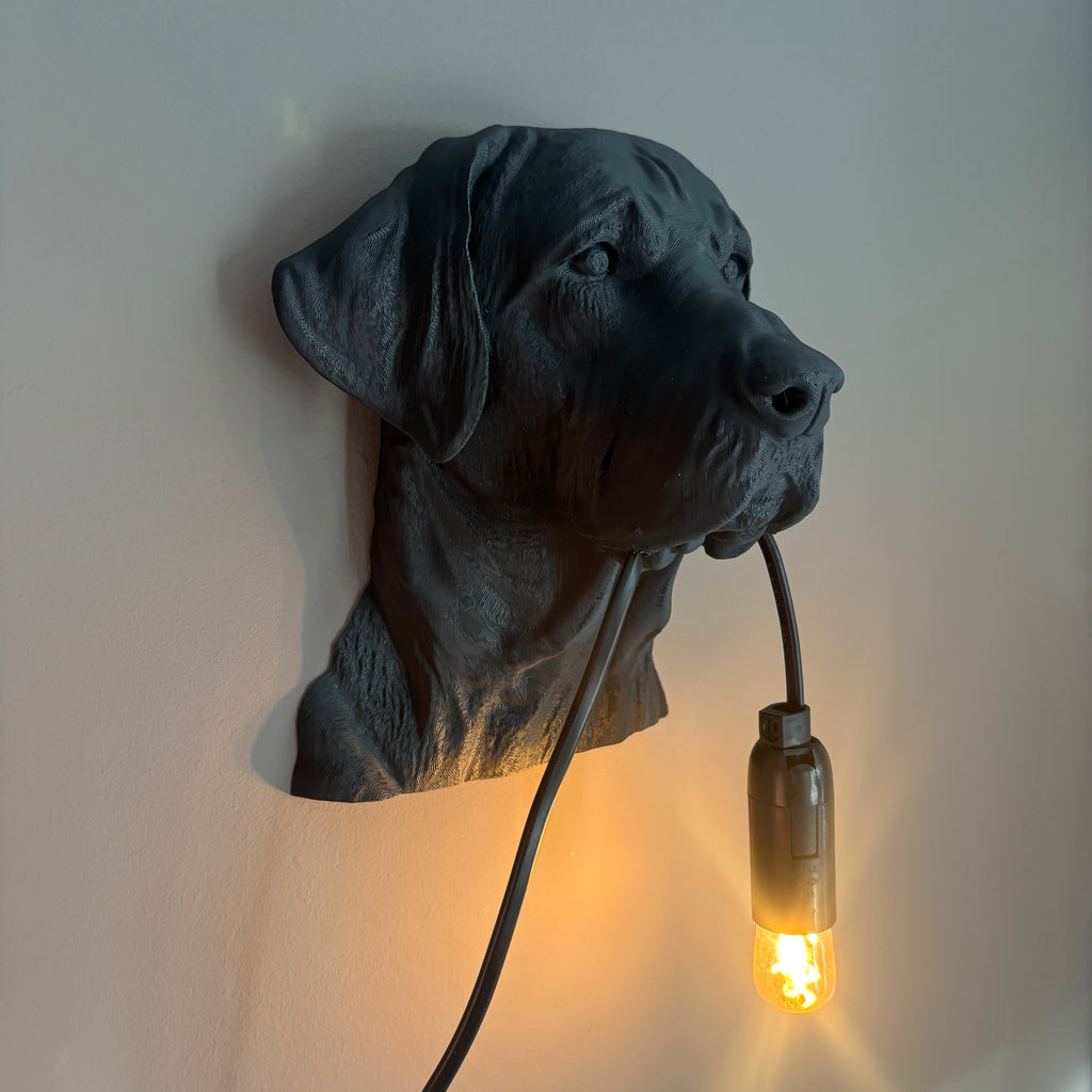 Labrador Wall Lamp