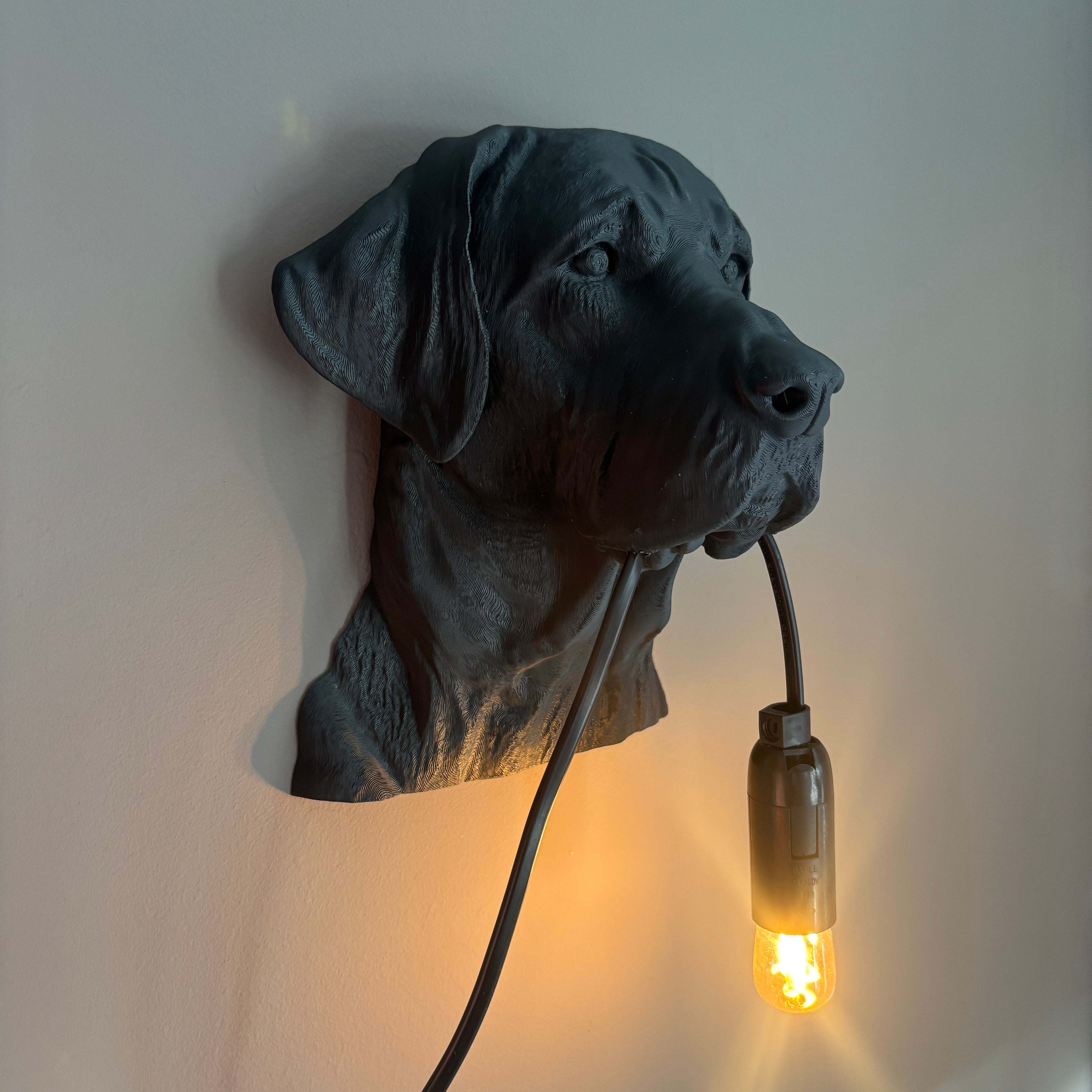 Labrador Wall Lamp