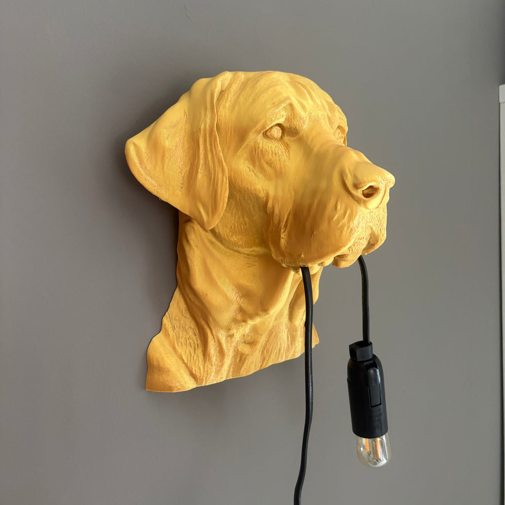 Labrador Wall Lamp