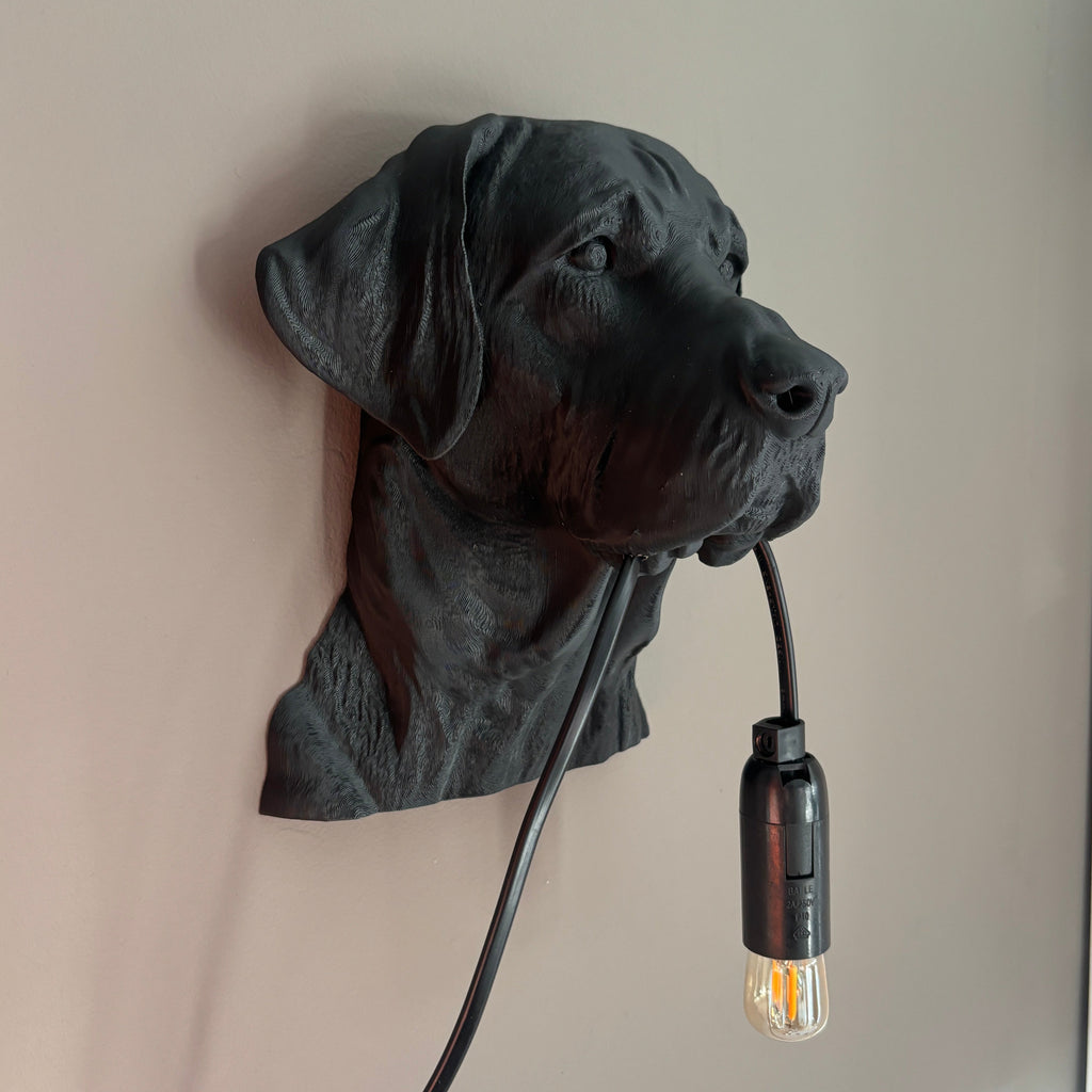 Labrador Wall Lamp