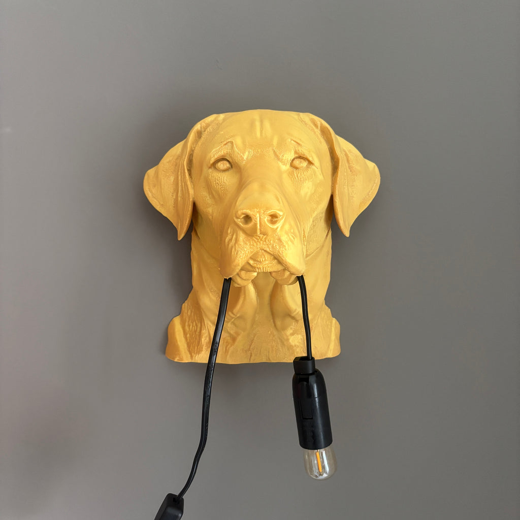 Labrador Wall Lamp