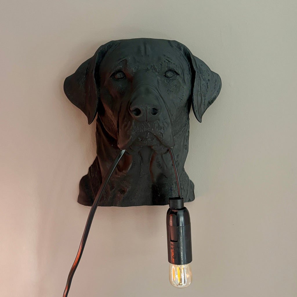 Labrador Wall Lamp