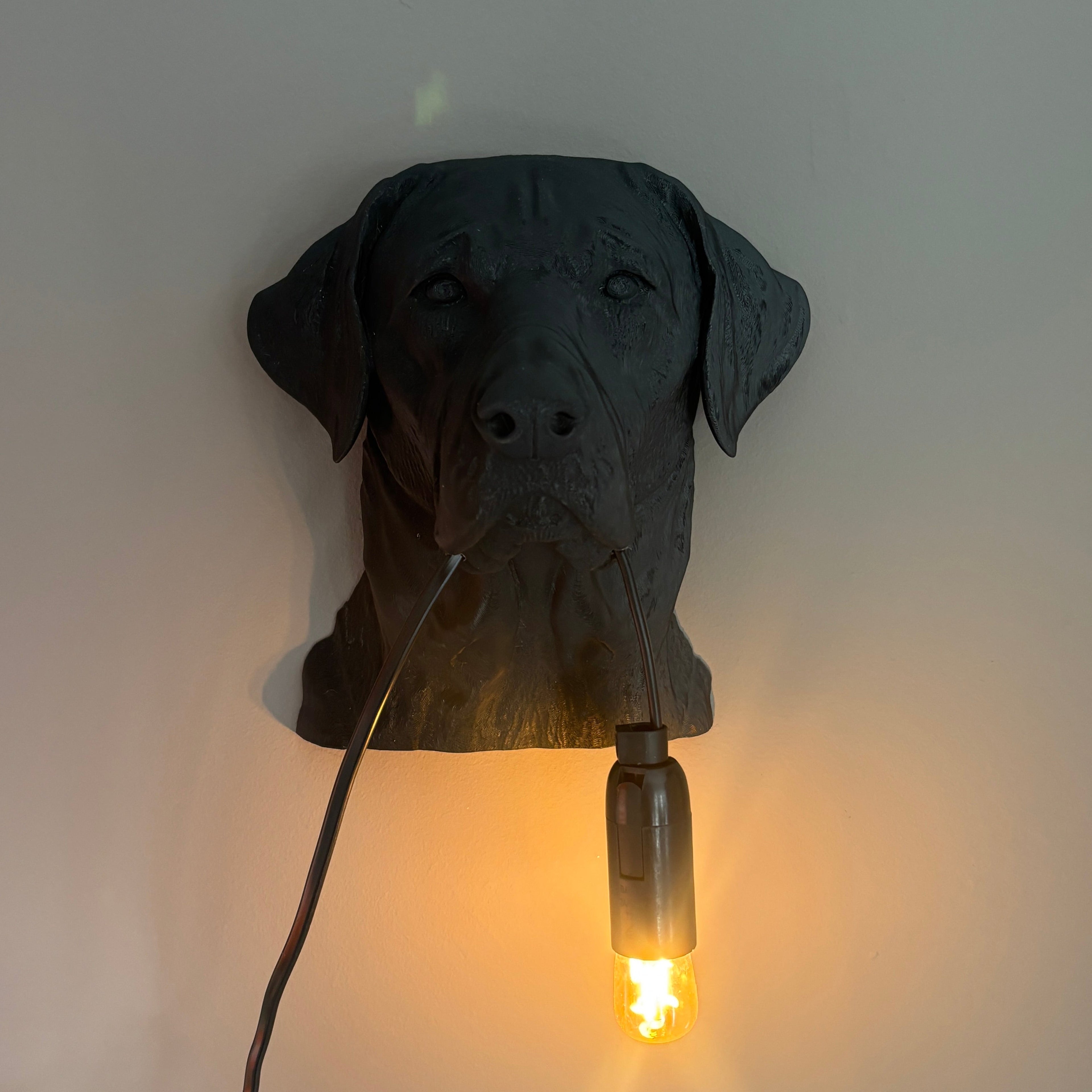Labrador Wall Lamp
