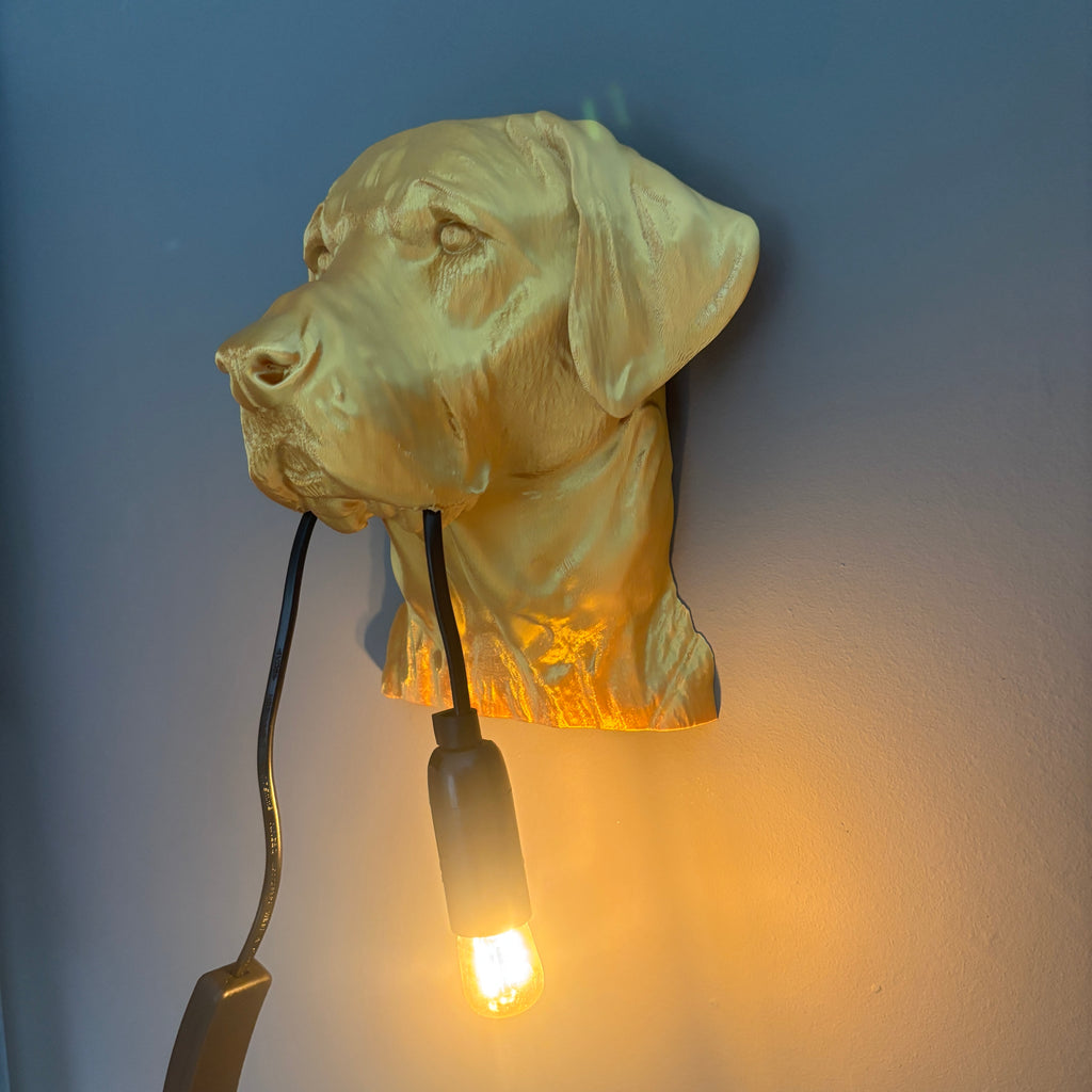 Labrador Wall Lamp