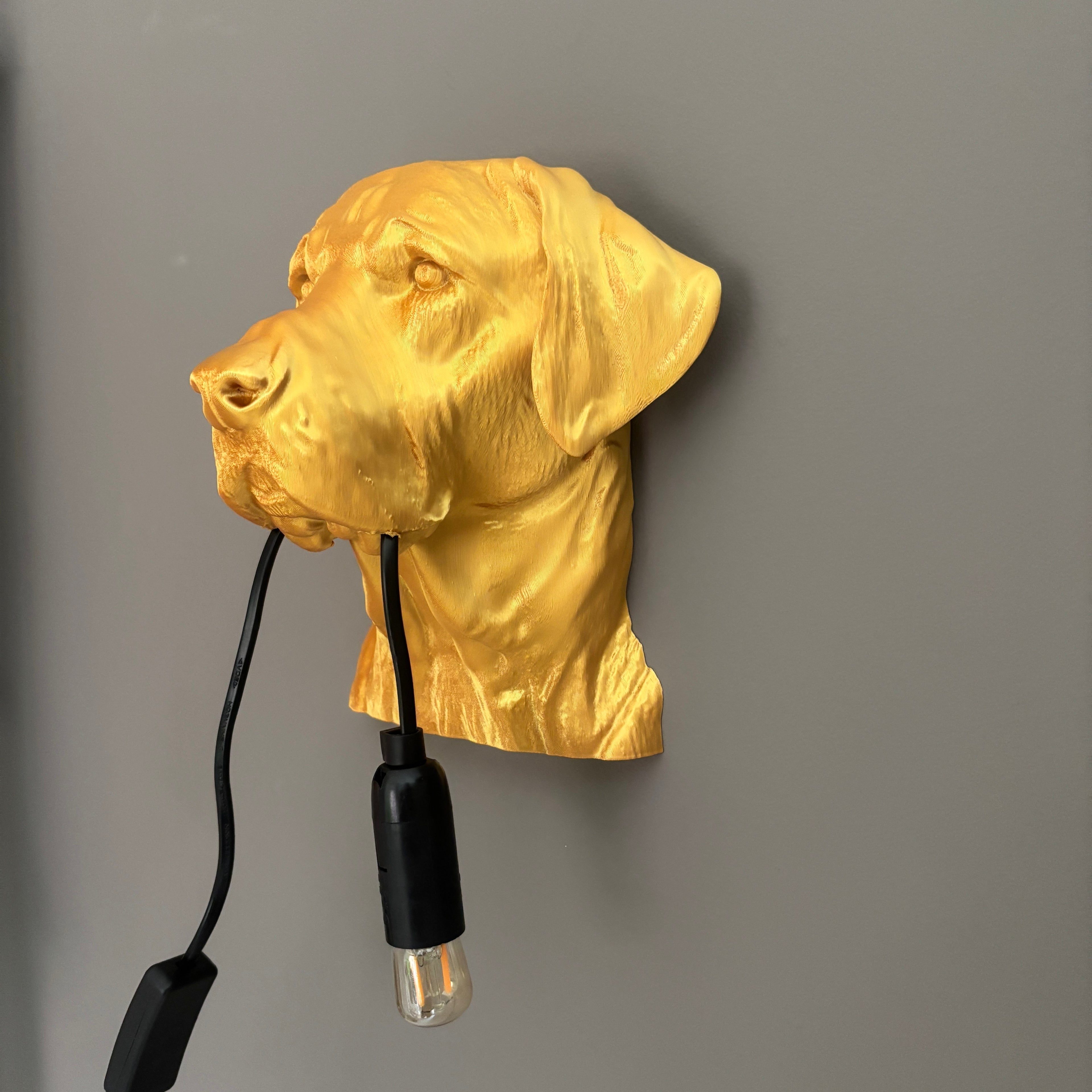 Labrador Wall Lamp