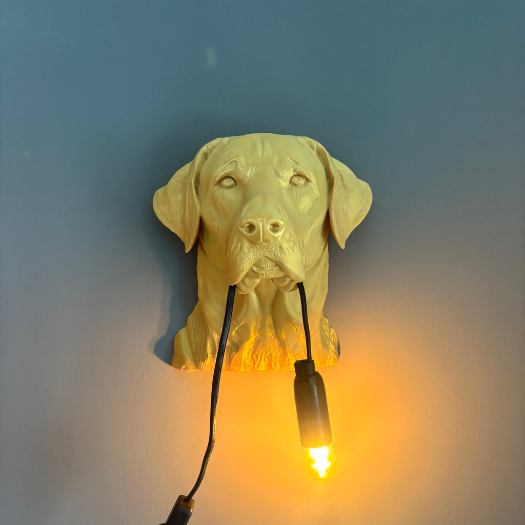 Labrador Wall Lamp
