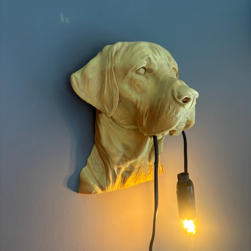 Labrador Wall Lamp
