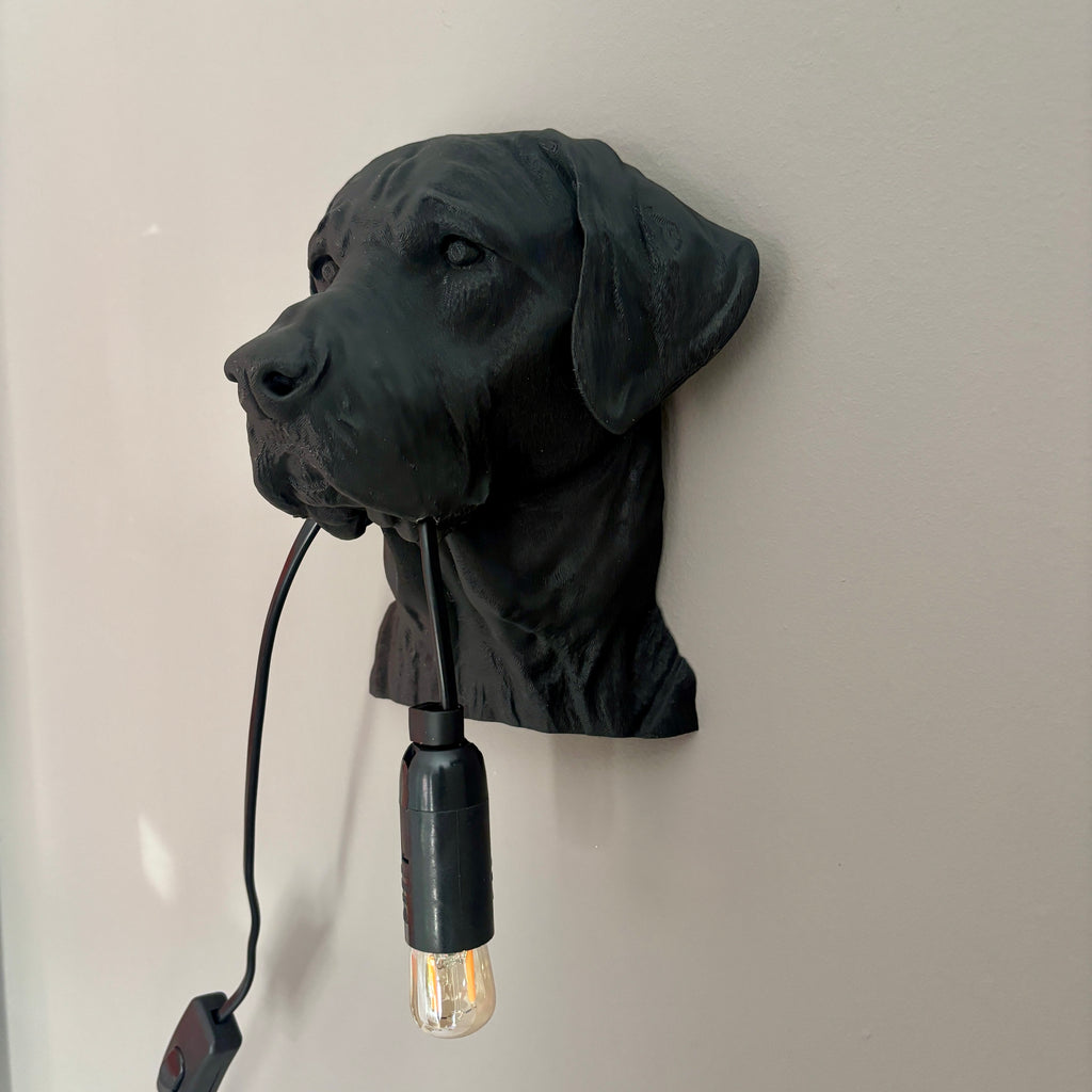 Labrador Wall Lamp