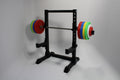 Mini Squat Rack