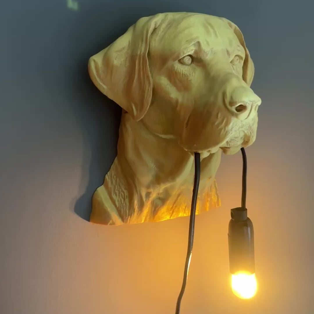 Labrador Wall Lamp